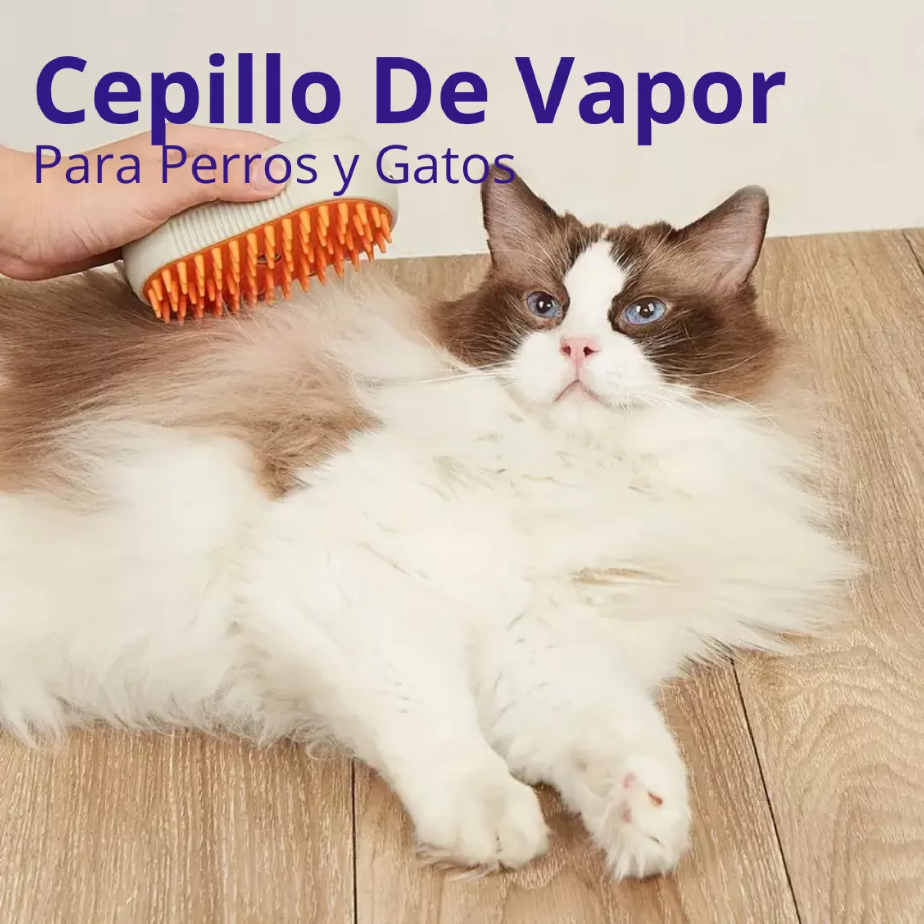 Cepillo Para Mascotas A Vapor Recargable